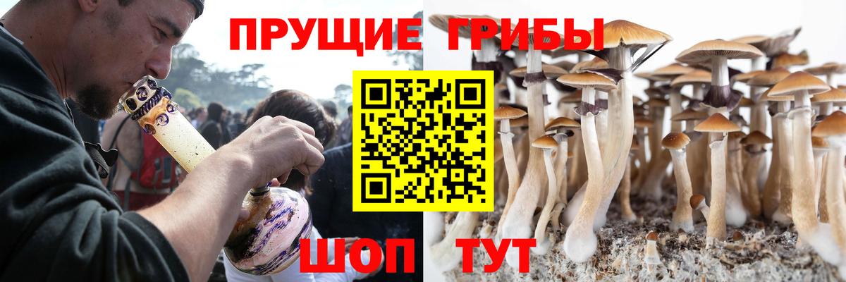 Псилоцибиновые грибы мухоморы Радужный